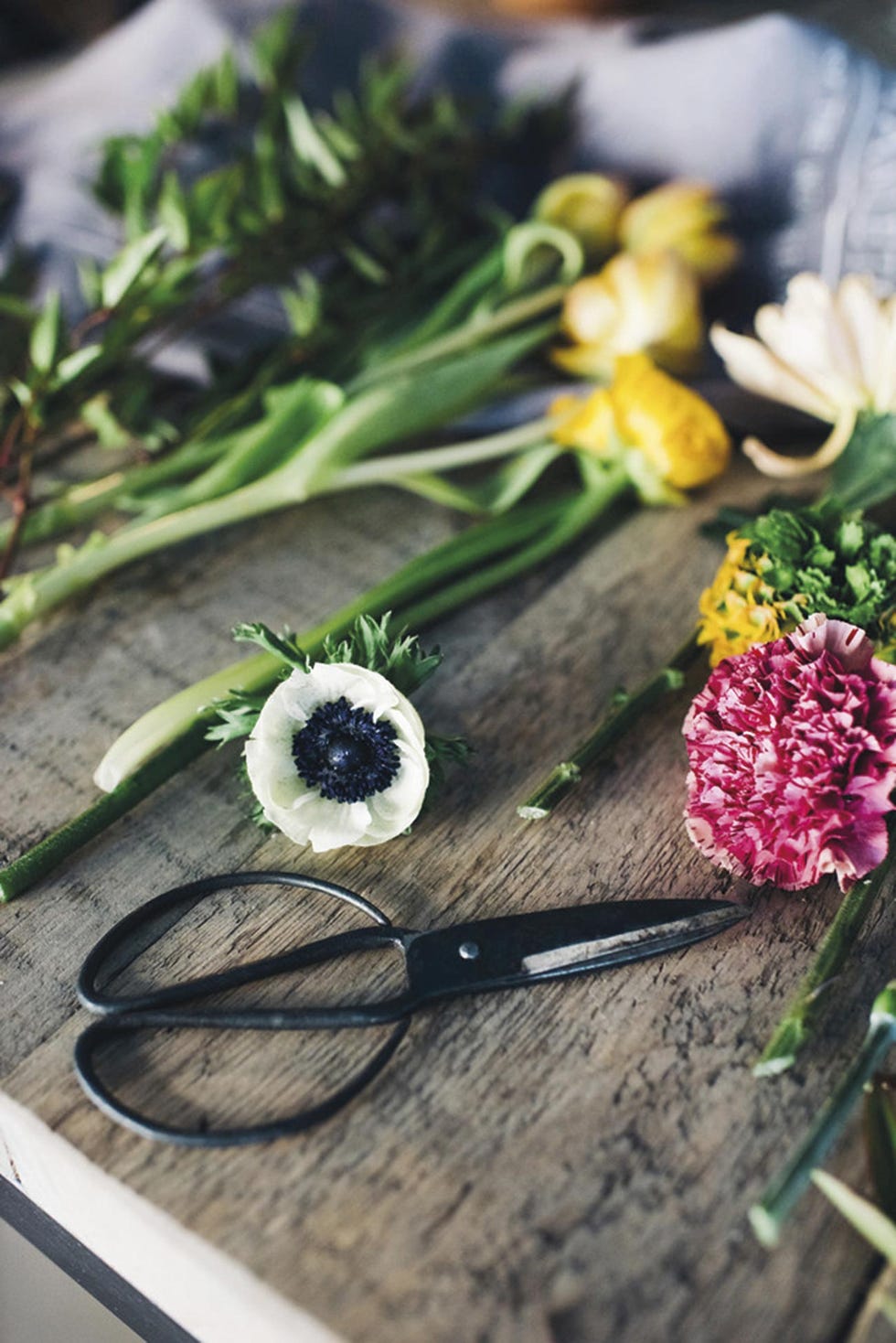 Jardinería: Taller floral