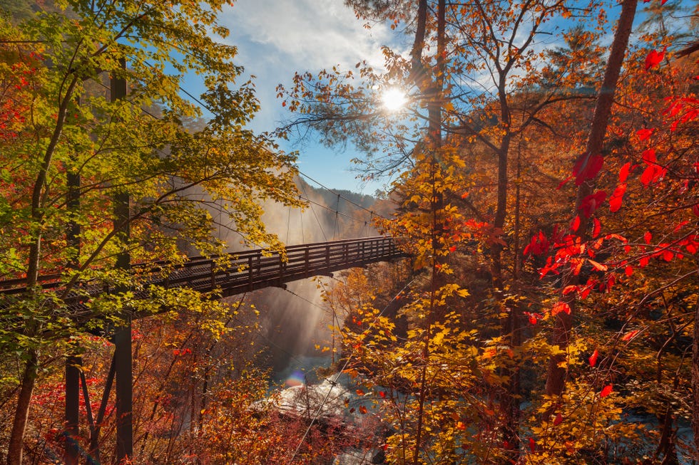 best places to see fall foliage