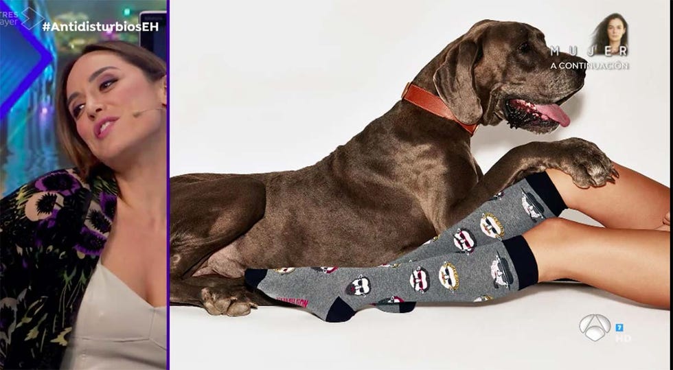 tamara falcó animales