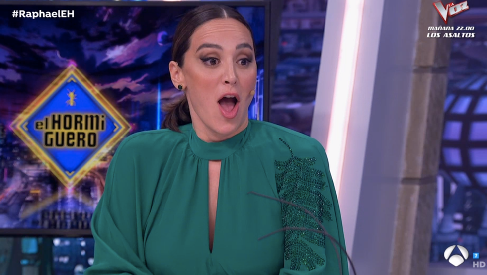 tamara falcó