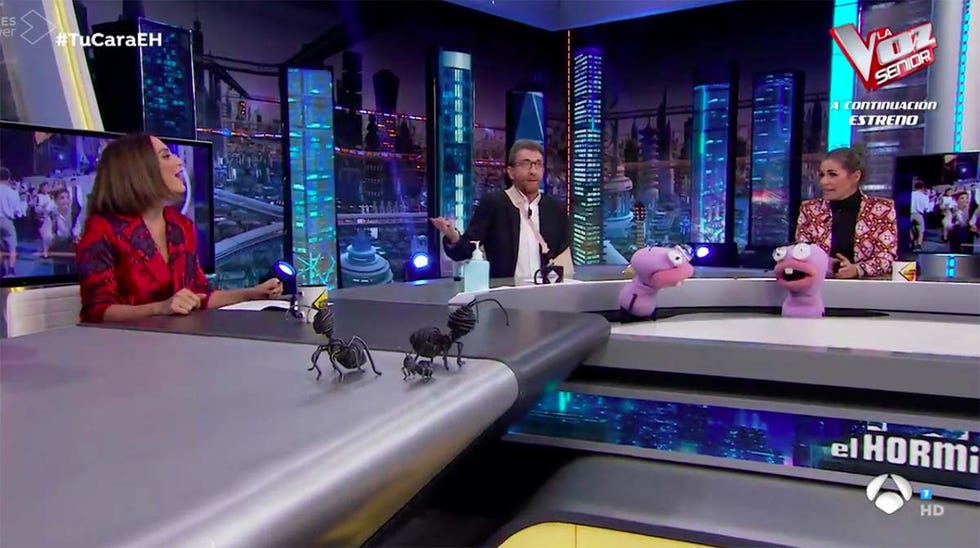 tamara falcó ilustrisima