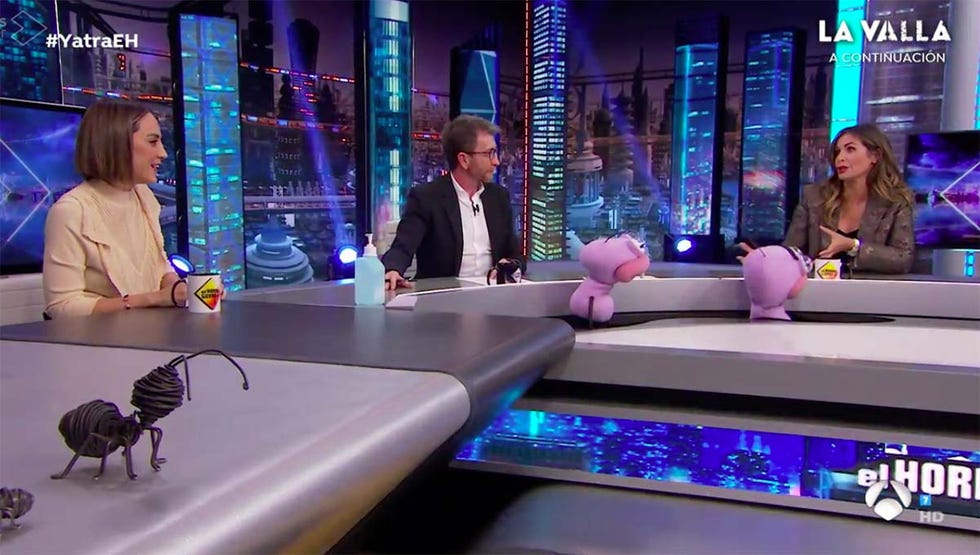 tamara falcó y nuria