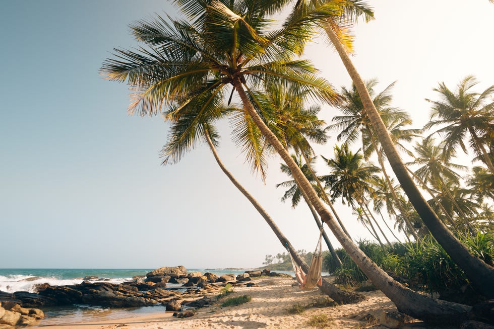 Tangalle beach hammocks