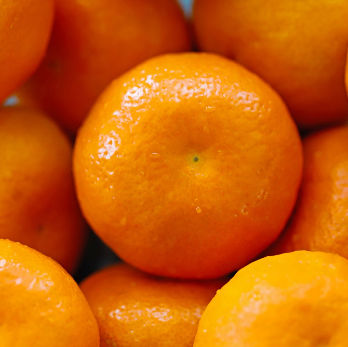 What Are The Benefits Of Tangerines? - Differences Between Oranges,  Tangerines, and Clementines