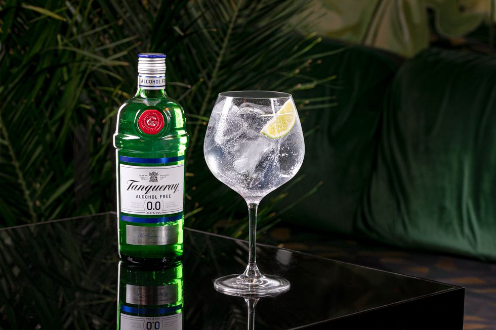 tanqueray and tonic
