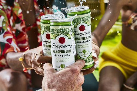 tanqueray rangpur lime gin and soda people party