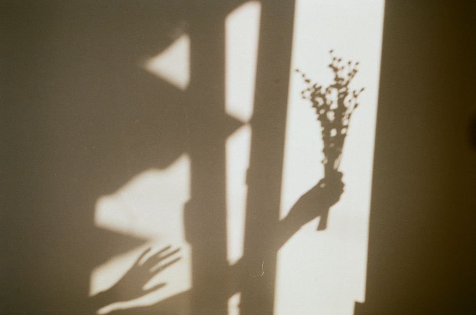 a shadow of a person holding a plant