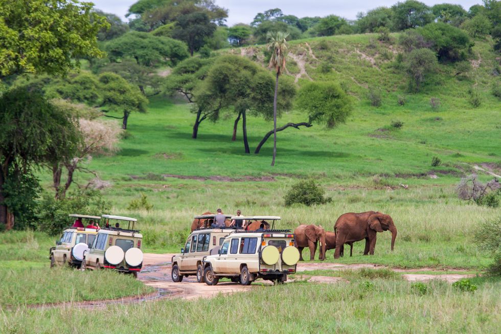 tarangire national park, tanzania