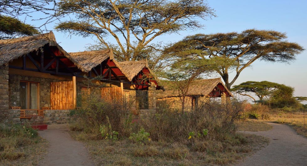 Ndutu Safari Lodge Credit Martin van Lokven
