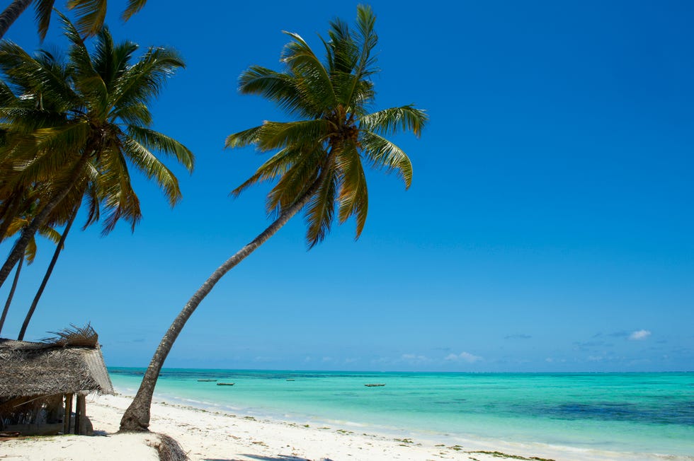 Tanzania, Zanzibar island, Jambiani beach tanzania, zanzibar island, jambiani beach