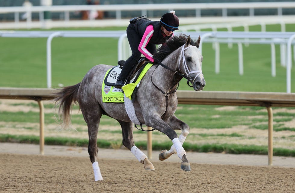 Top Kentucky Derby Horses 2023 Favored Kentucky Derby Horses