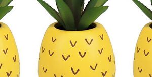 target sun squad faux pineapple succulent
