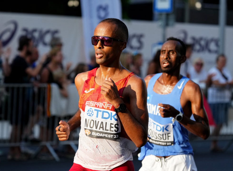 tariku novales
