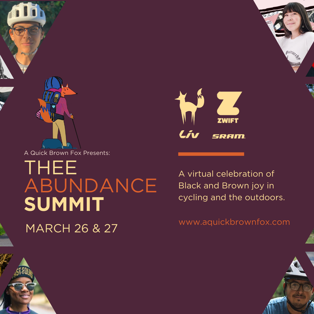 ayesha mcgowan's thee abundance summit