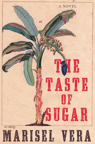 the taste of sugar book cover