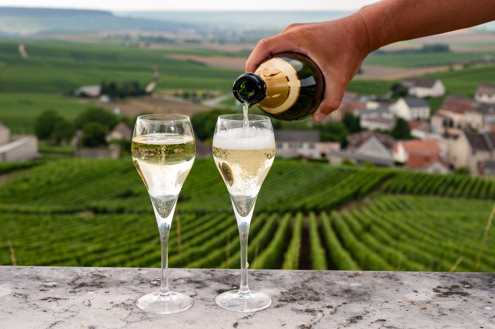 tasting of brut and demisec white champagne sparkling wine from special flute glasses with champagne vineyards on background near cramant, france
