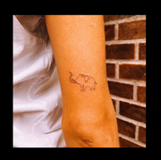 one hand on the left with star fine line tattoos on the fingers, and a person's arm on the right with a minimalist elephant tattoo