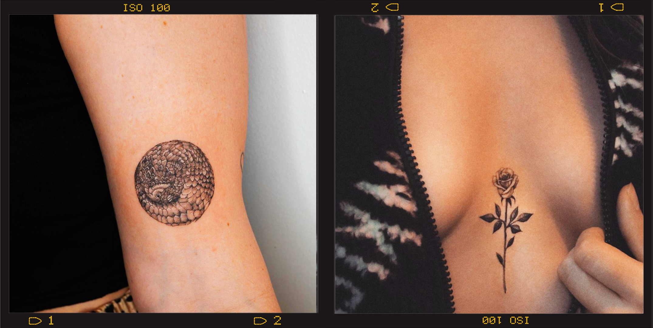 30 Amazing Tattoos That Transform When People Move Their Bodies  DeMilked