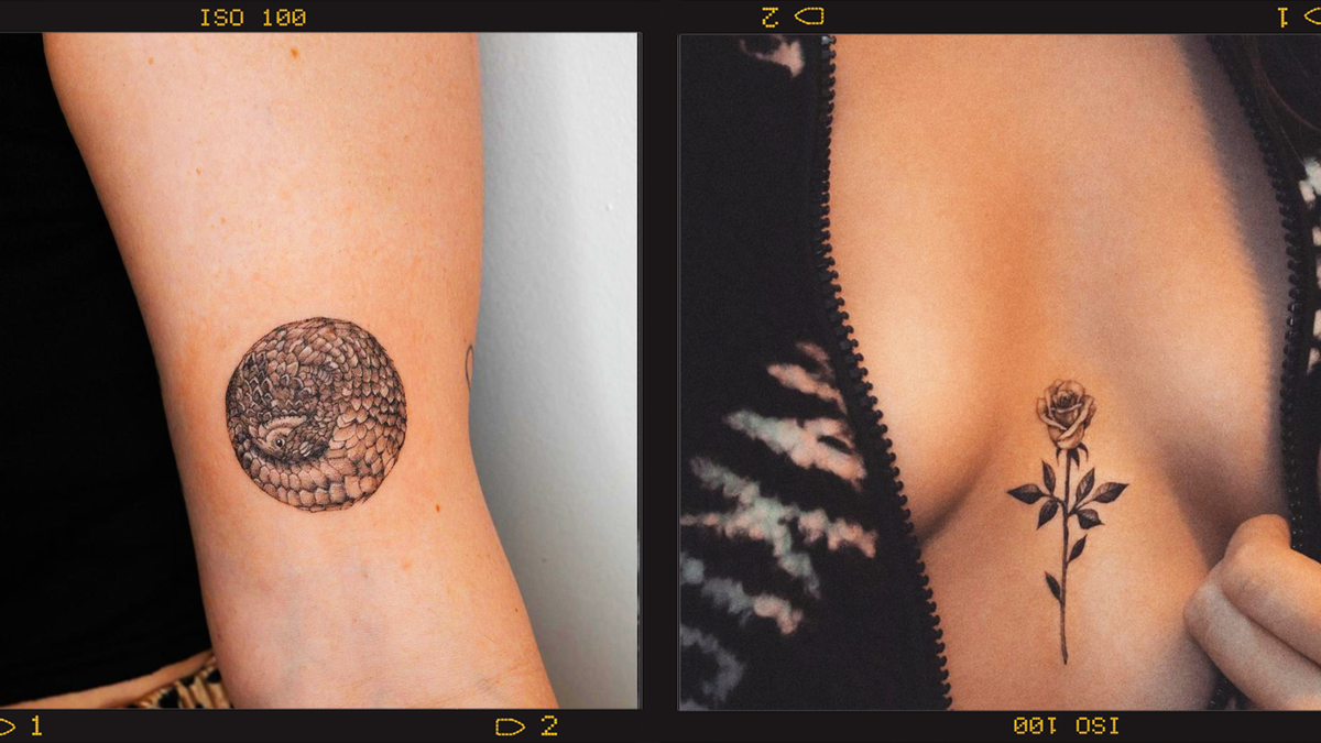 25 Tattoos ideas  tattoos, tattoos for women, cool tattoos