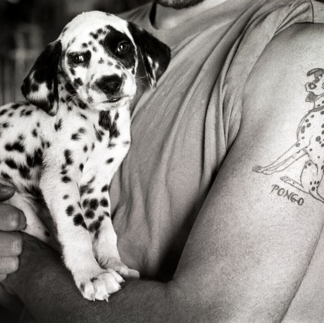 un hombre con un dálmata en brazos y un tatuaje en el brazo