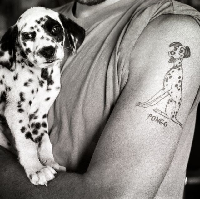 un hombre con un dálmata en brazos y un tatuaje en el brazo
