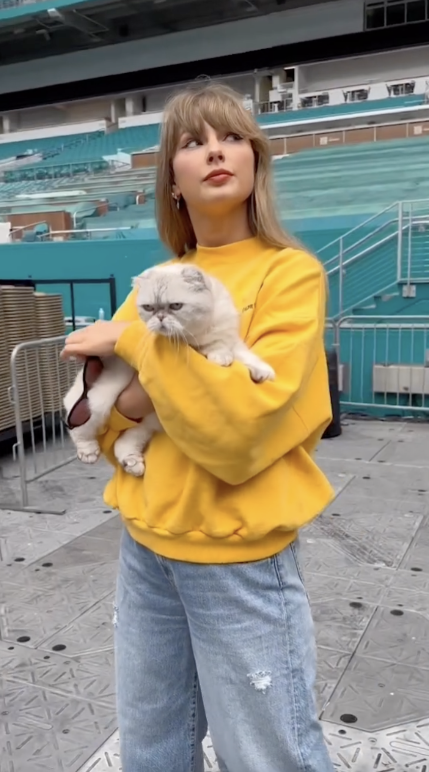 Taylor swift cat fashion sweater