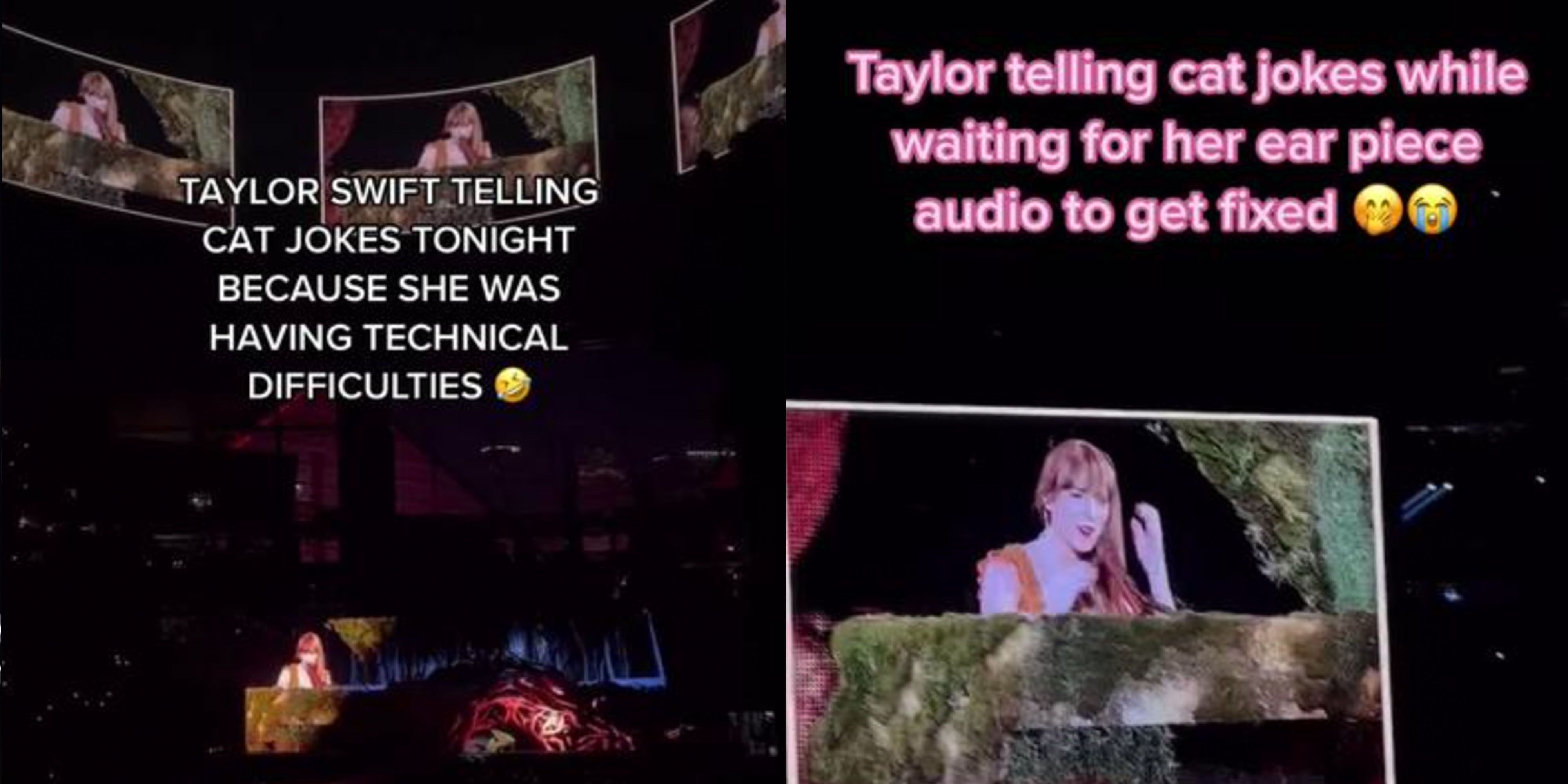Taylor Swift Told Cat Jokes Amid Technical Difficulty in Atlanta