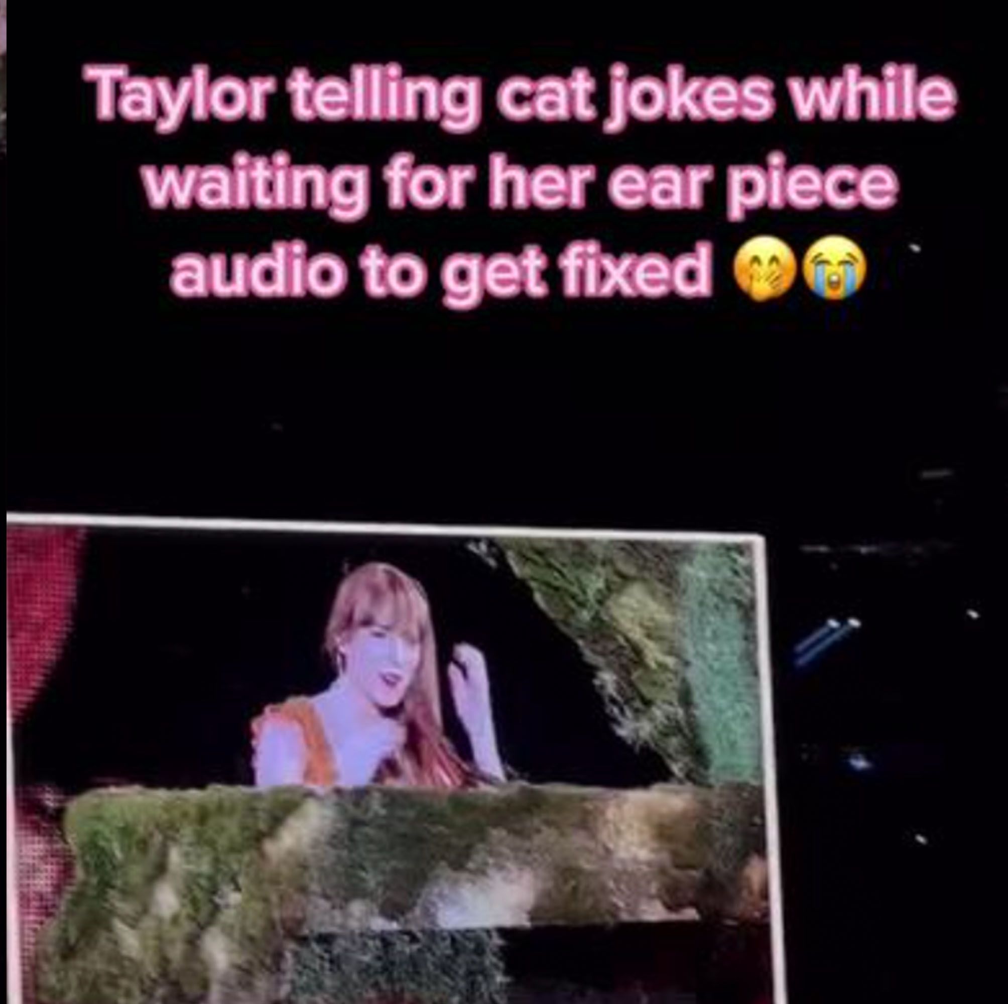 Taylor Swift Told Cat Jokes to Entertain the Audience During a Technical Difficulty Last Night