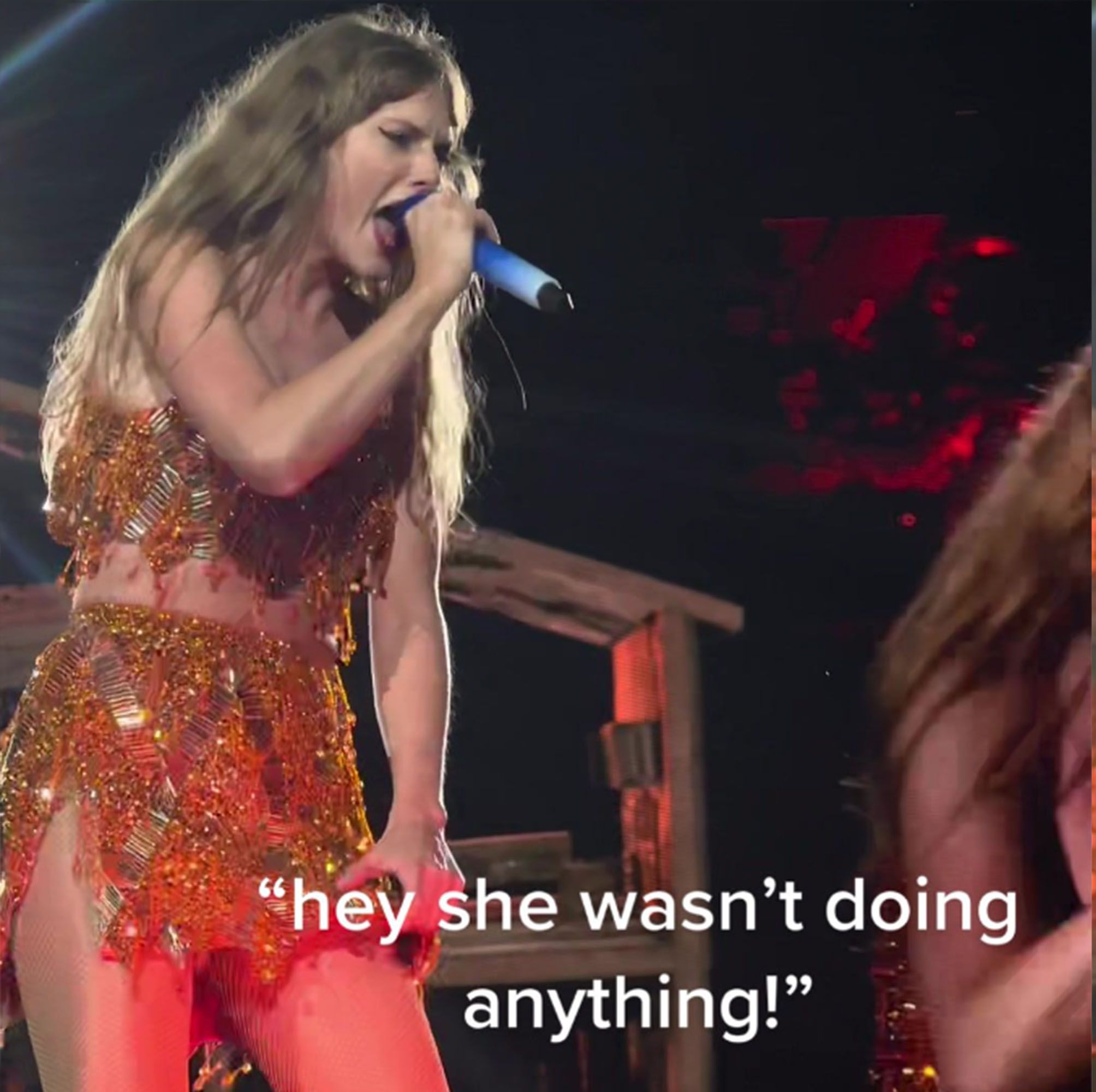 Taylor Swift Interrupted Her Own Show to Defend a Fan Who Was Being Harassed by Security