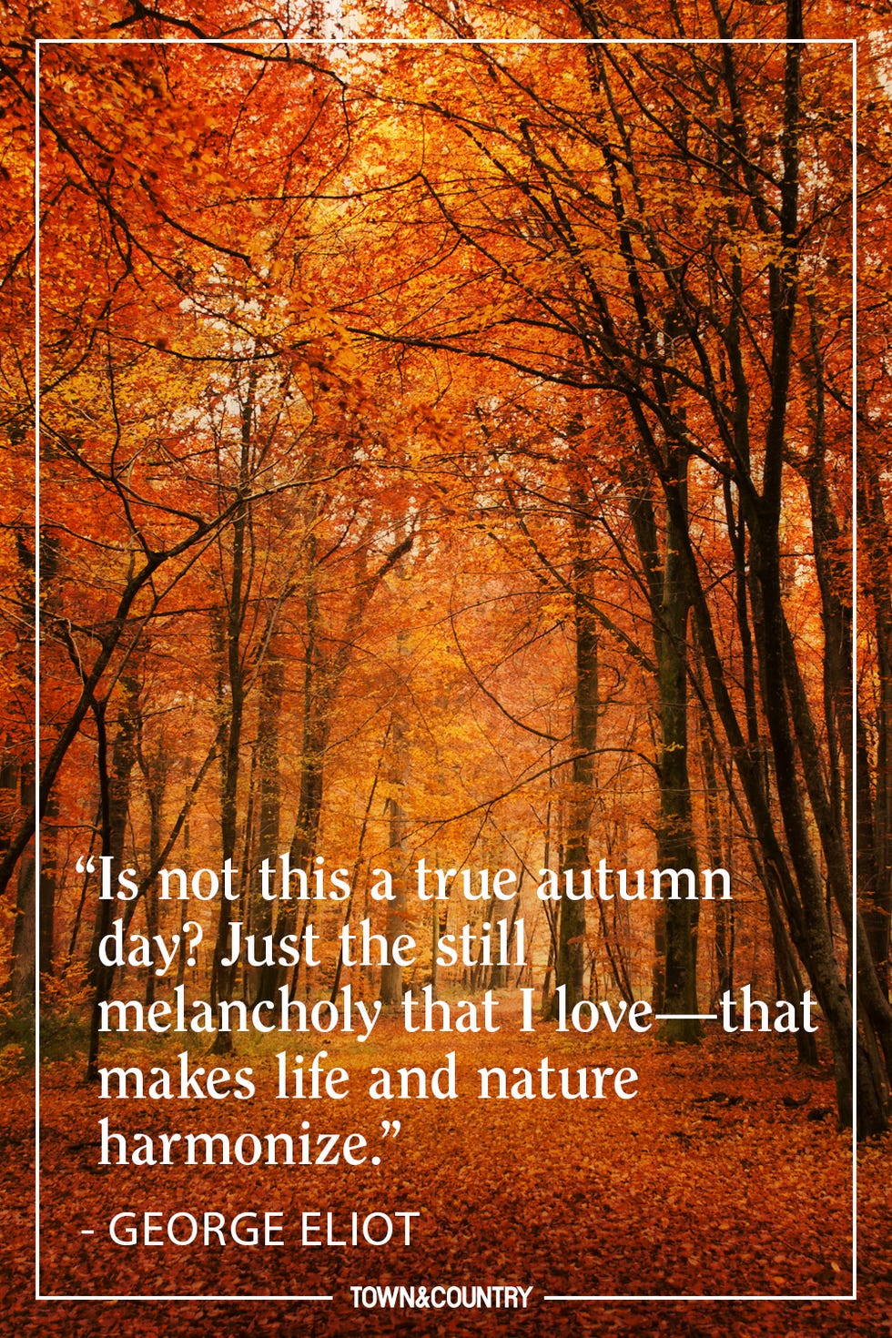 Quote of the Day ~  October 2024 - Page 2 Tc-fall-eliot-66bbcec6167a4