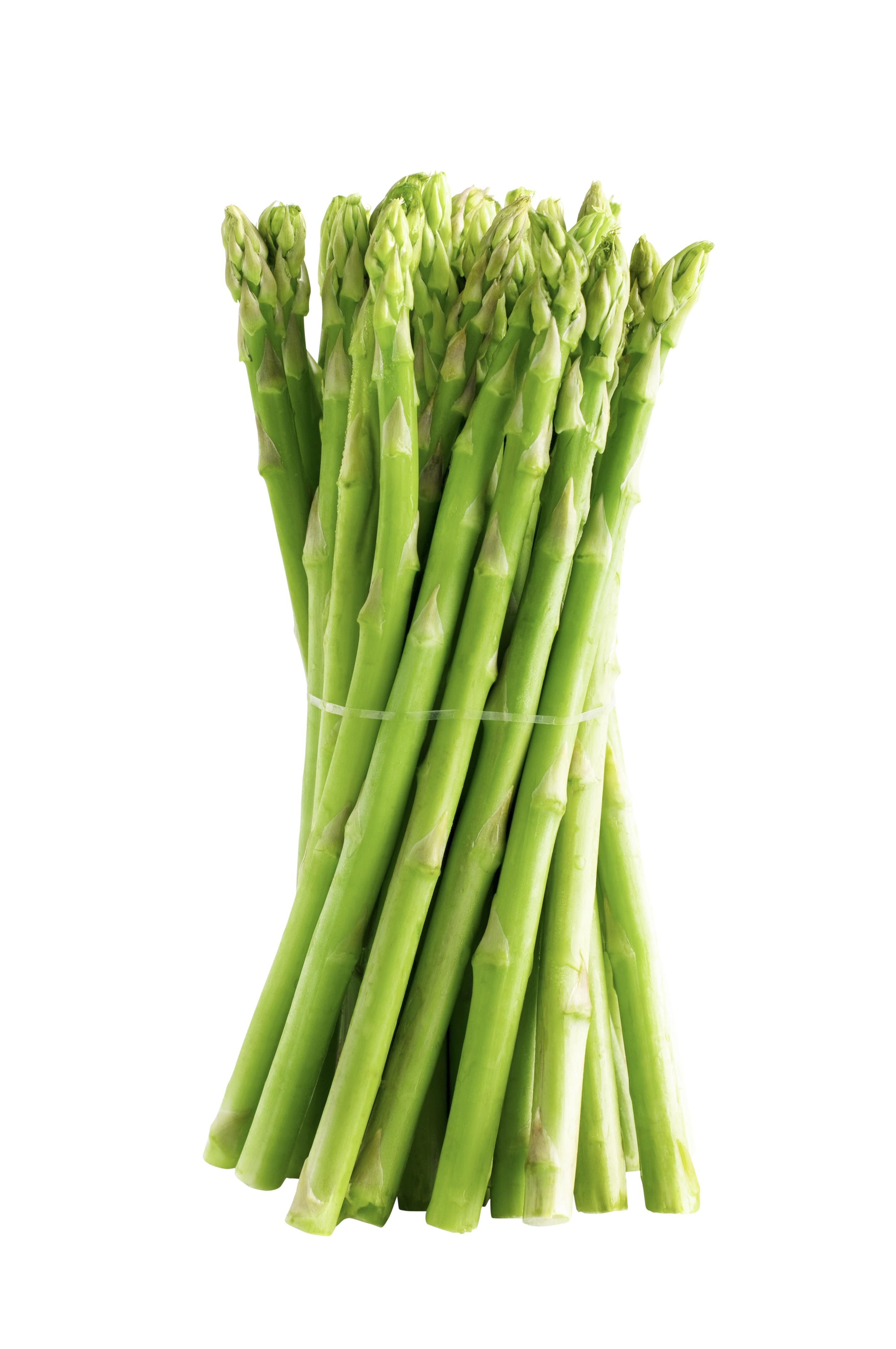 Close-Up Of Asparagus Against White Background