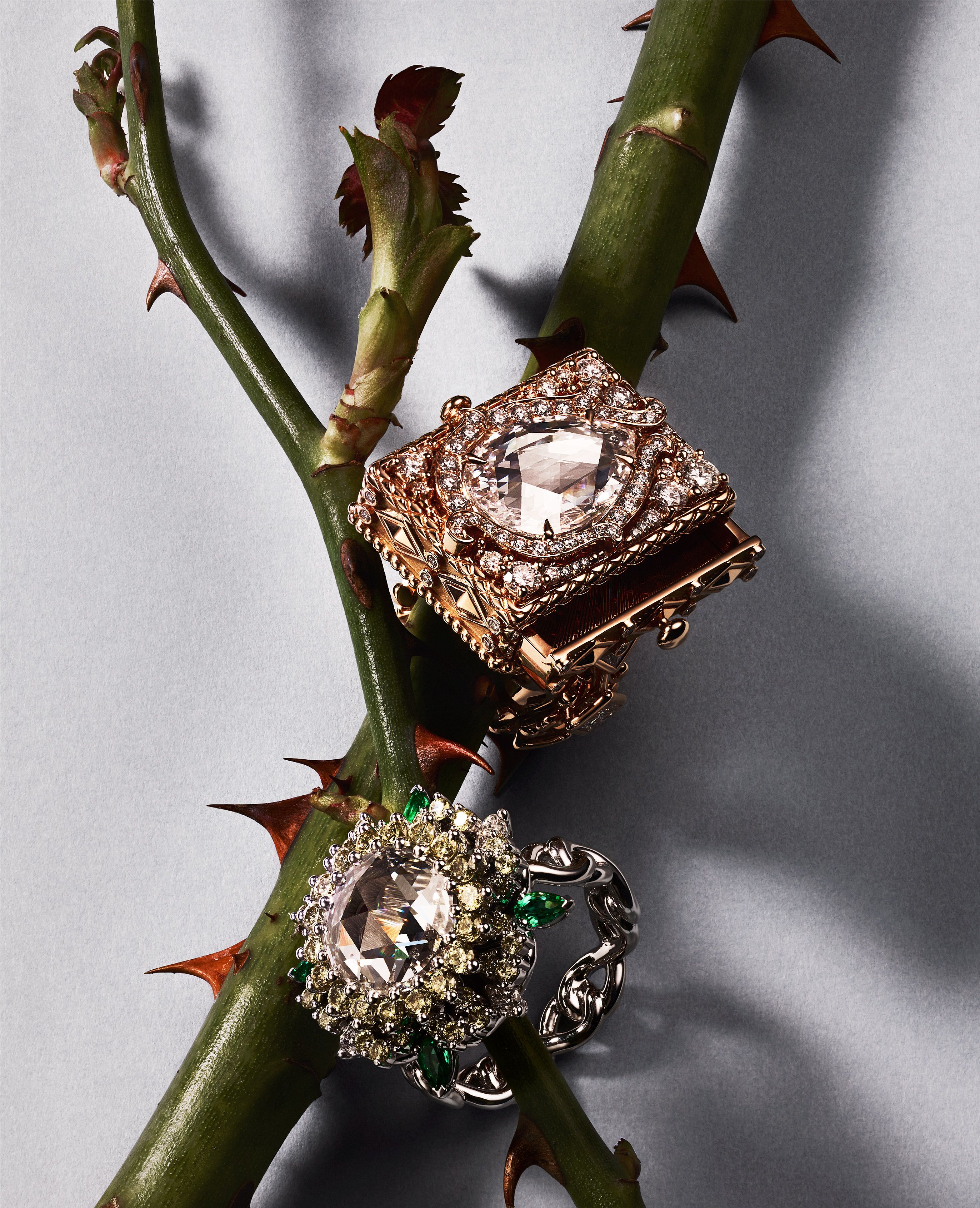 Dior's Latest Fine Jewelry Collection Is Inspired By Royalty's Hidden  Secrets