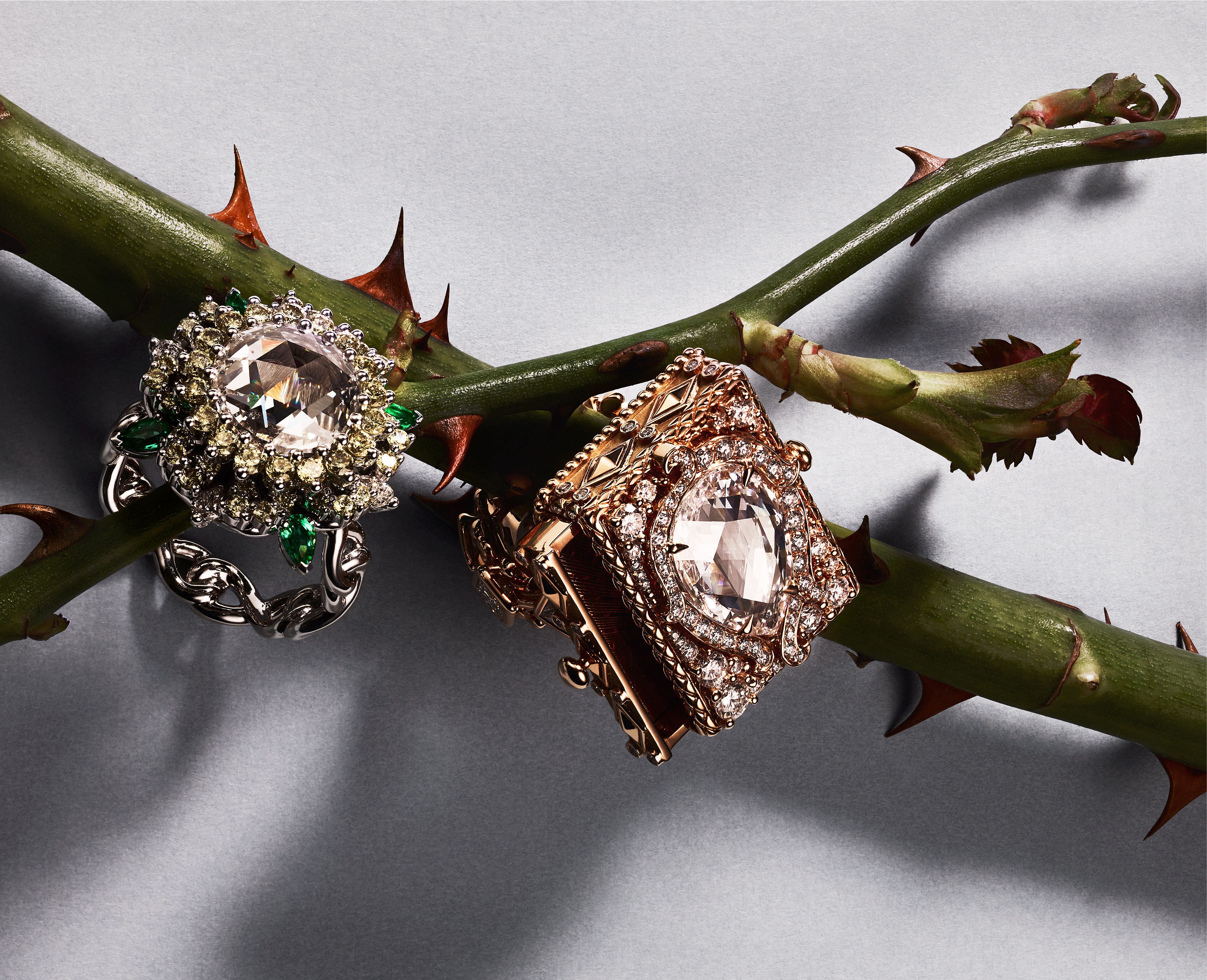 Dior's Latest Fine Jewelry Collection Is Inspired By Royalty's