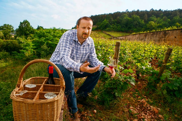 A French Winemaker Explains Why He Refuses to Use Barrels