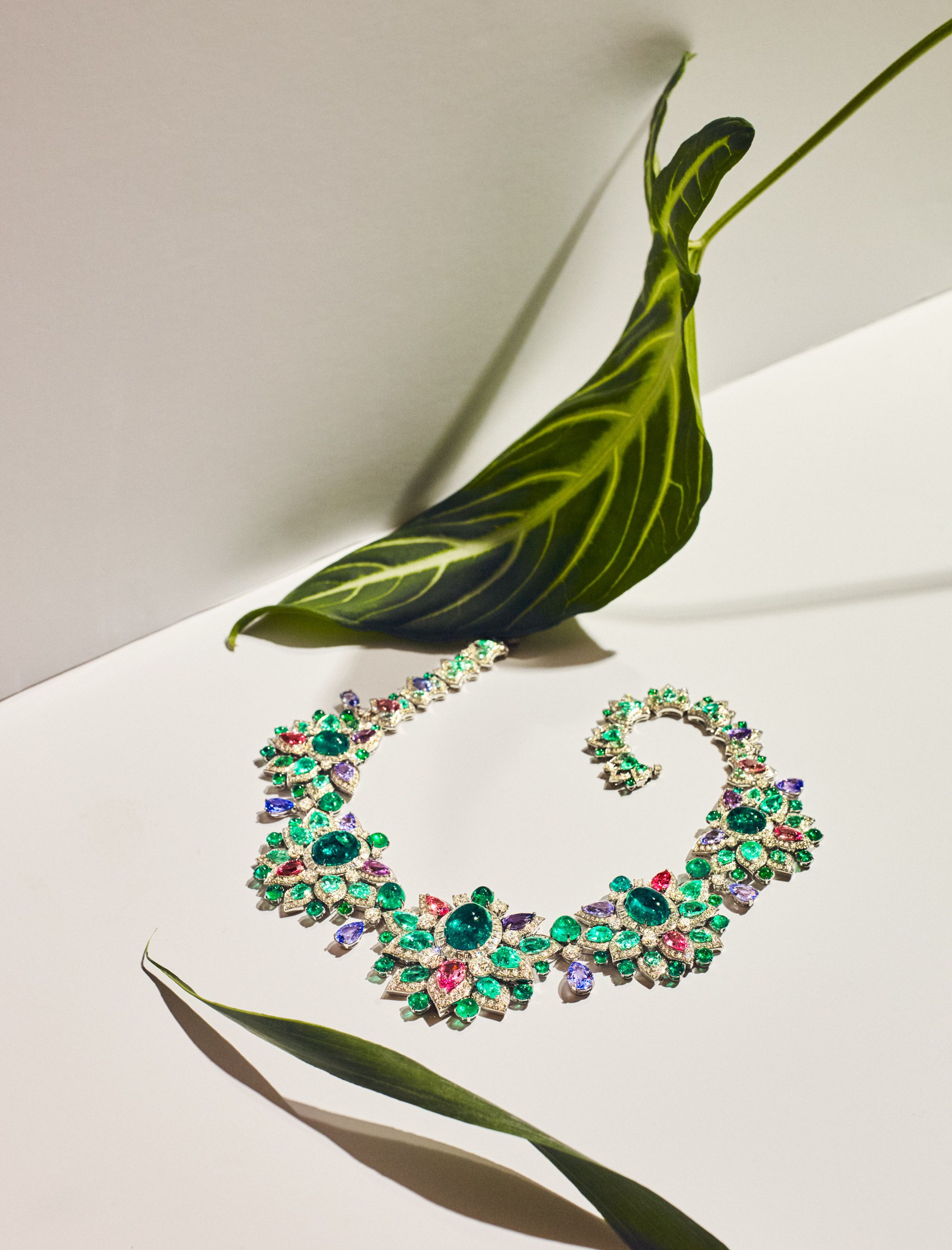 Bulgari's New High Jewelry Collection Is an Ode to the Garden of Eden –  Robb Report