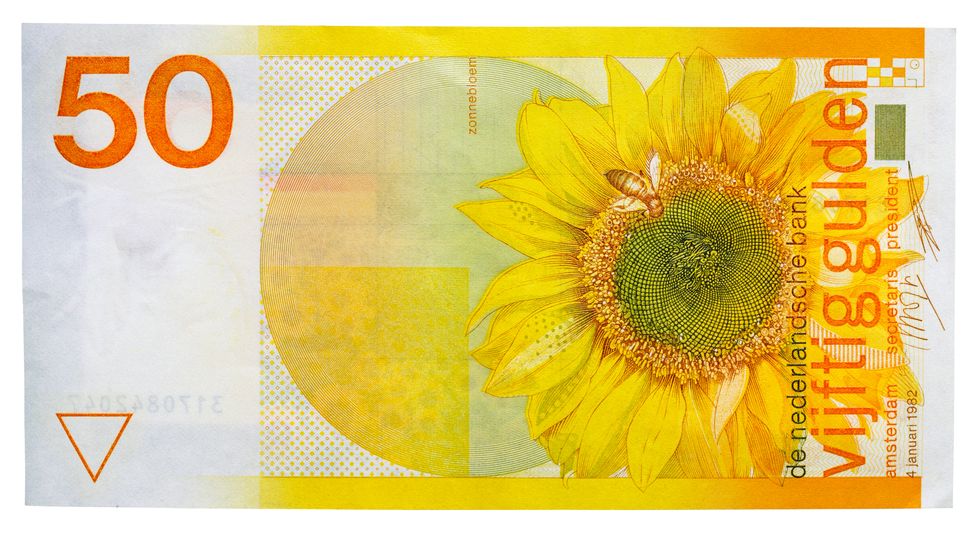 netherlands   august 02 50 guilder banknote, 1982, reverse, sunflower netherlands, 20th century photo by deagostinigetty images