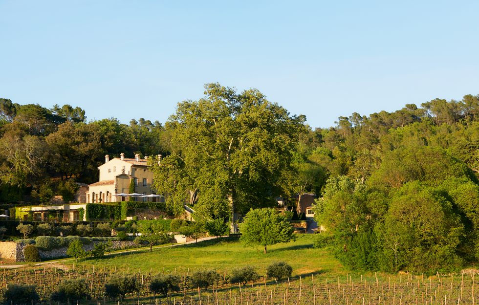 chateau margui in provence