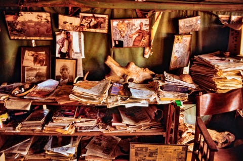 artist peter beard's studio at his hog ranch, near nairobi, kenya