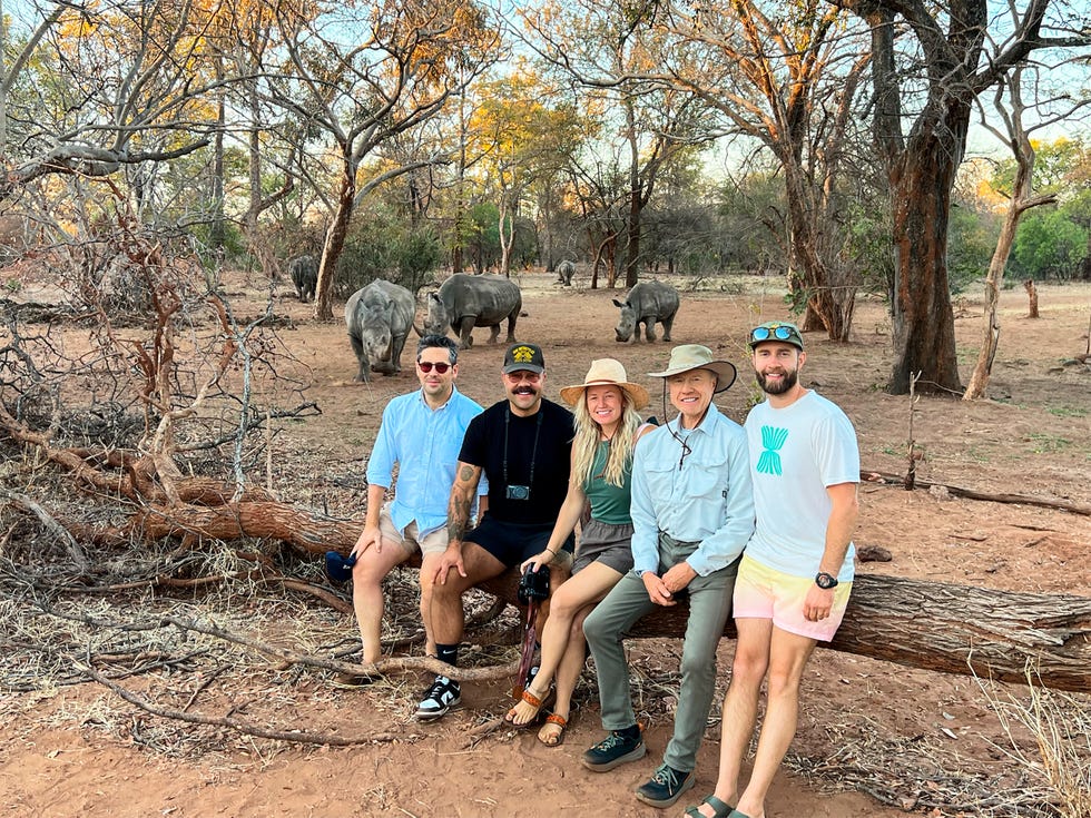 group of people sitting on a log in a wildlife setting with elephants in the background