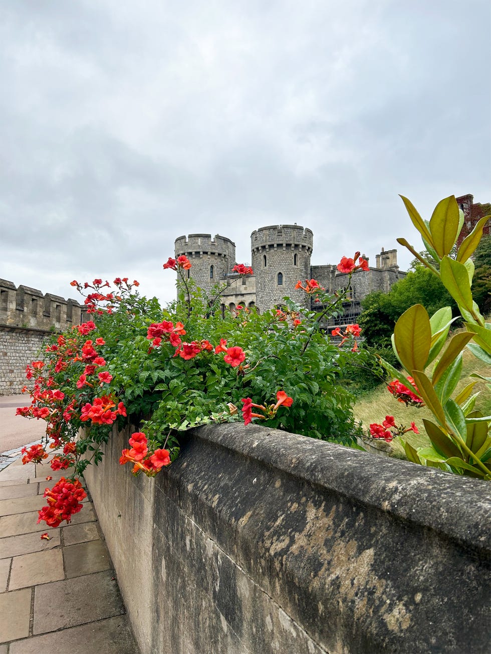 castle towers behind a flowerlined wall