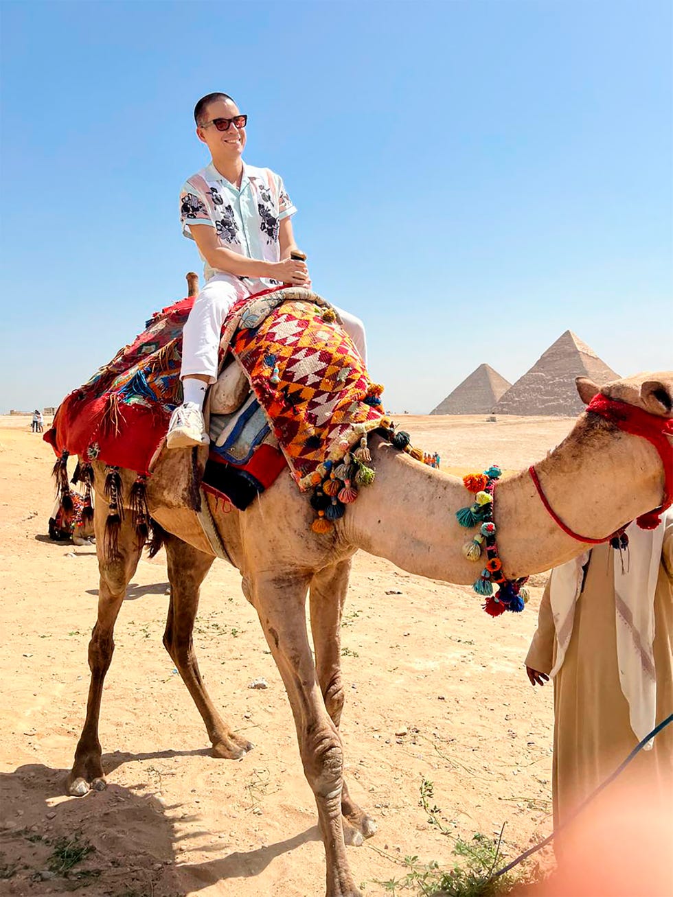 person riding a decorated camel in front of the pyramids