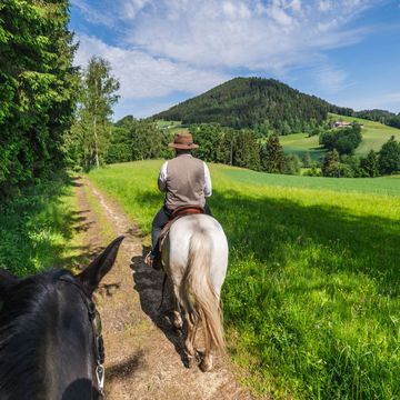 Paardrijden in de regio Mhlviertel Alm Freistadt