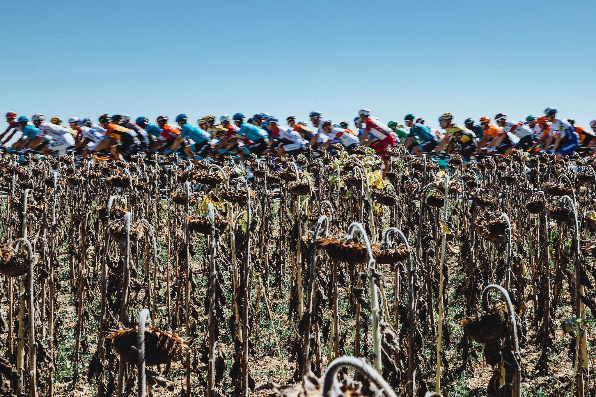 tour de france