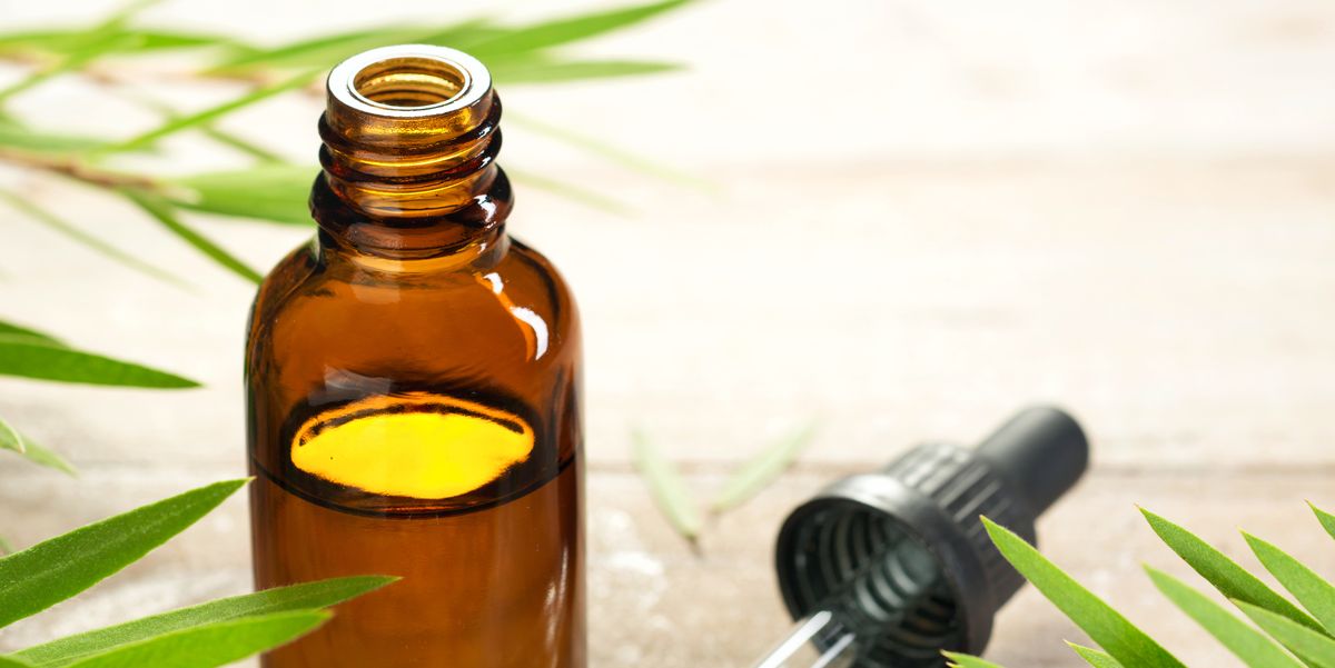 15 Uses For Tea Tree Oil - For Skin and Hair