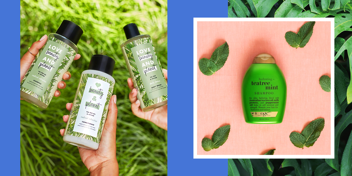 10 Best Tea Tree Oil Shampoos for Cleaner Hair in 2021