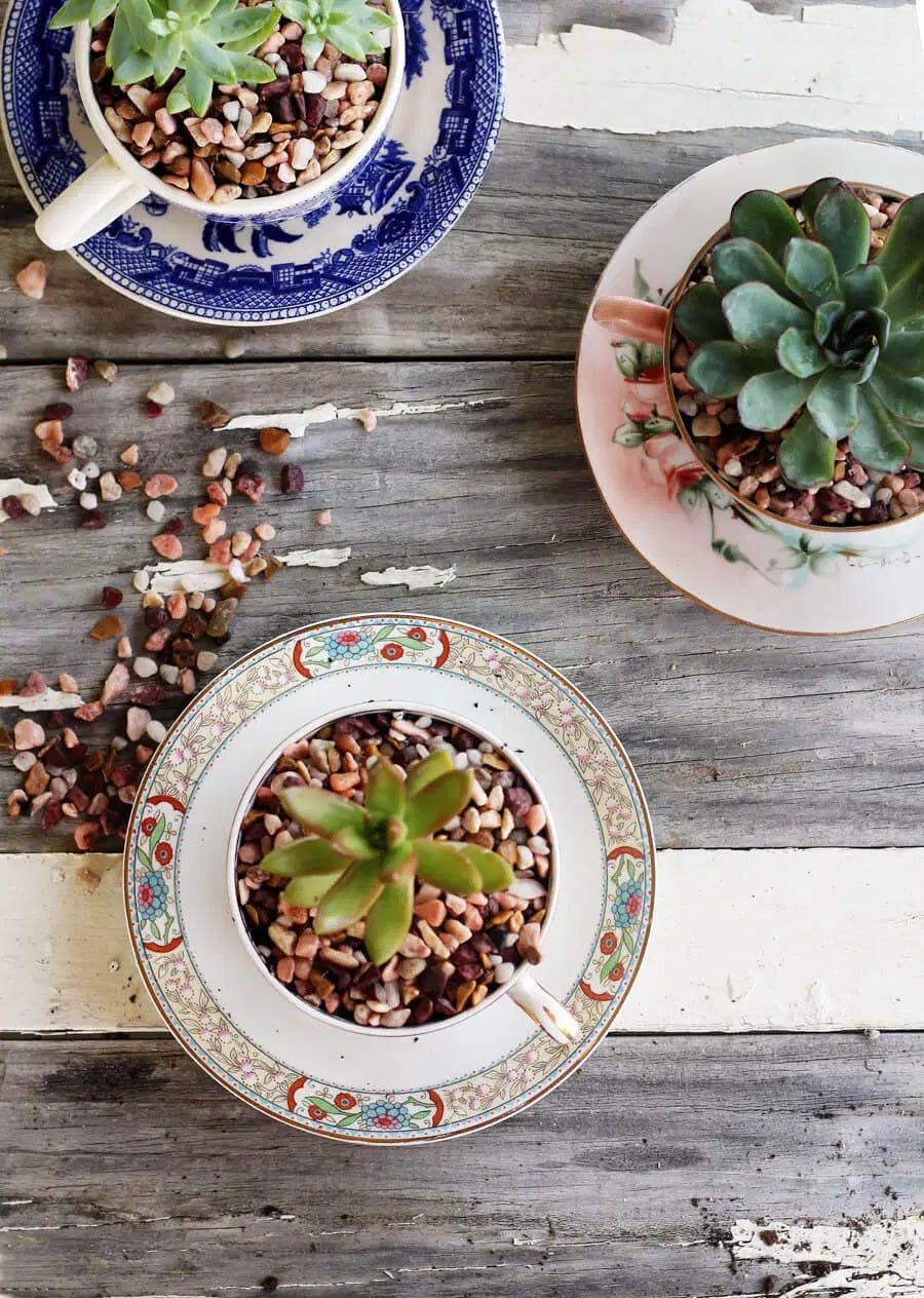 DIY Ceramic Tea Cup Planters - 6 Pc.