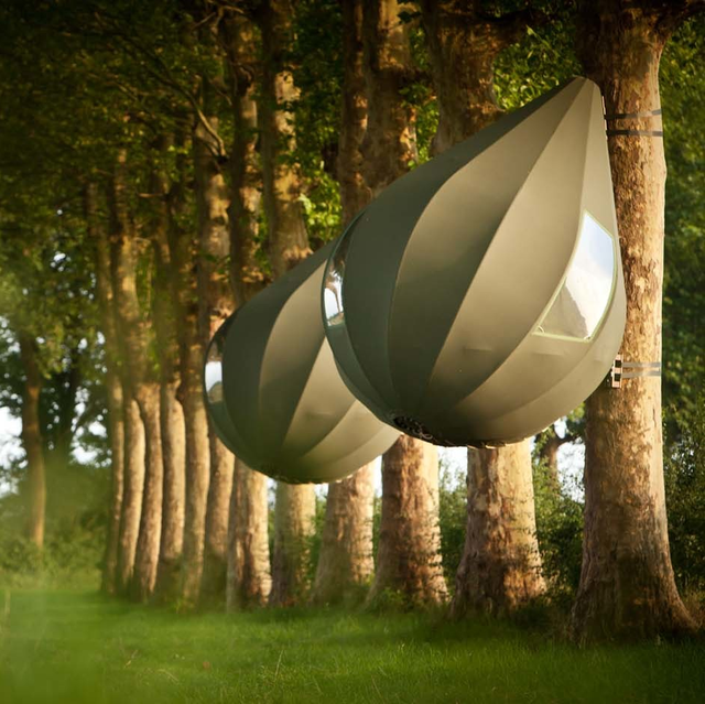 teardrop shaped tents hanging from trees