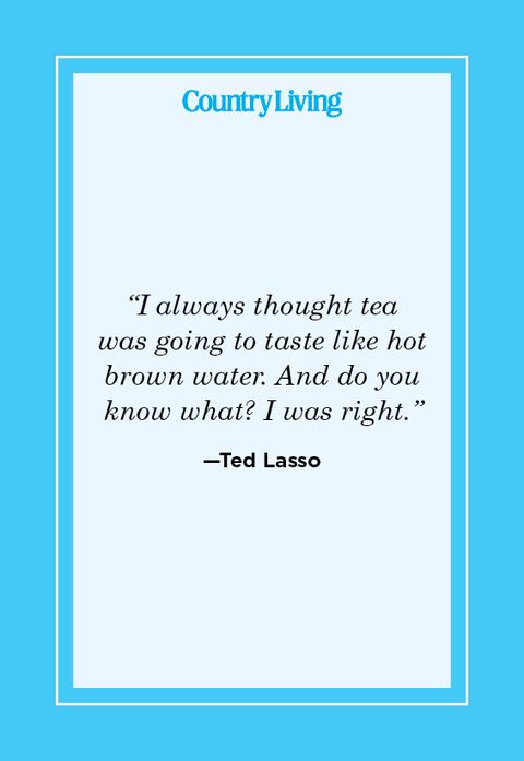ted lasso quote