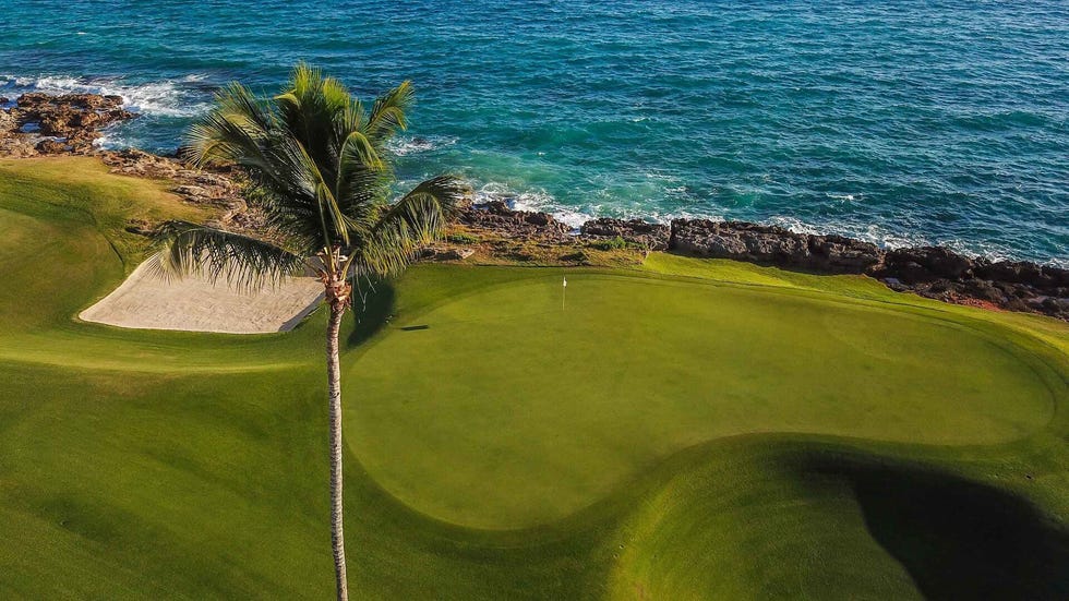 golf course beside ocean with palm tree and sand trap