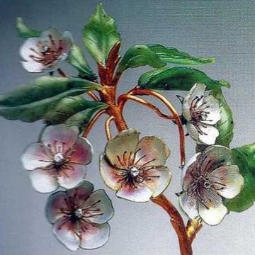 Flower, Plant, Flowering plant, Botany, Petal, Blossom, Artificial flower, Alstroemeriaceae, Plant stem, Hellebore, 